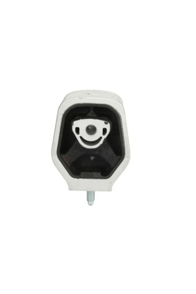 REINHOCH Suport Motor Fata Mercedes-Benz A-Class/B-Class Sports Tourer 2004-2012