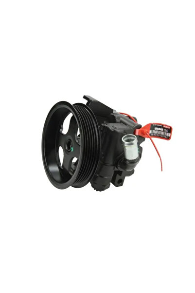 Lauber Pompa Hidraulica Sistem De Directie Ford Tourneo Connect/Transit Connect