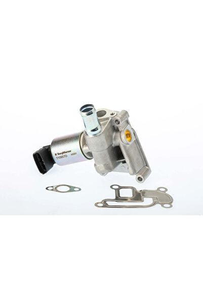 BorgWarner (Wahler) Supapa Egr Opel Agila/Astra G/Astra H Vauxhall Agila Mode...