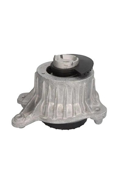 REINHOCH Suport Motor Stanga Mercedes-Benz E-Class