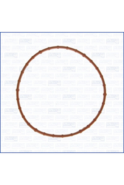 Ajusa Garnitura Carcasa Galerie Admisie Chrysler Grand Voyager 5/Pacifica Dod...