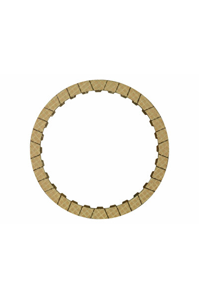 BorgWarner (Wahler) Lamela Frictiune Ambreiaj Lamelar (Cutie Viteze Autom.) A...