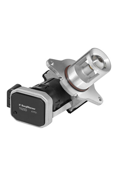 BorgWarner (Wahler) Supapa Egr Mercedes-Benz C-Class/E-Class