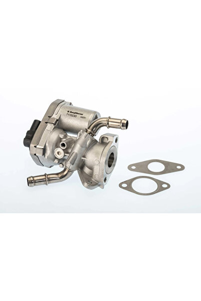 BorgWarner (Wahler) Supapa Egr Ford Transit Tourneo Bus/Transit Bus/Transit C...
