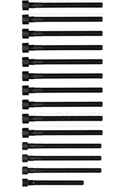 VICTOR REINZ Set Surub Chiulasa Bmw 1/3/5 Bmw (Brilliance) 5 Series