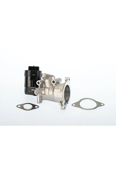 BorgWarner (Wahler) Supapa Egr Citroen C4 1/C4 Grand Picasso 1/C4 Picasso 1 M...