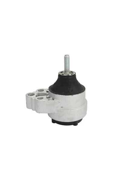 REINHOCH Suport Motor Dreapta Ford Focus 1 1998-2007