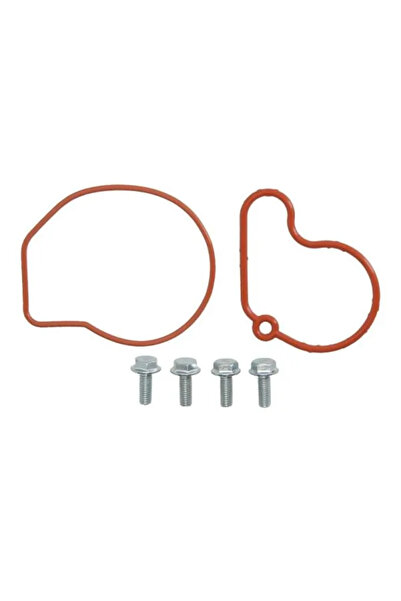 Engitech Set Reparatie Pompa Vacuum (Siste Frana) Audi A3 Seat Cordoba/Ibiza ...