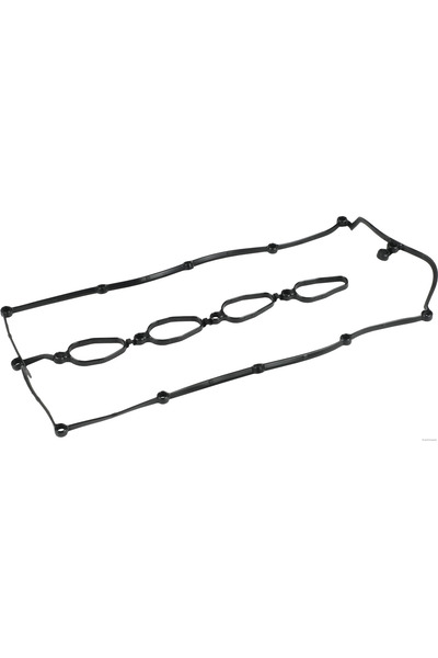 HERTH BUSS JAKOPARTS Гарнитура на капака на клапаните Hyundai H-1 / Starex Bu...