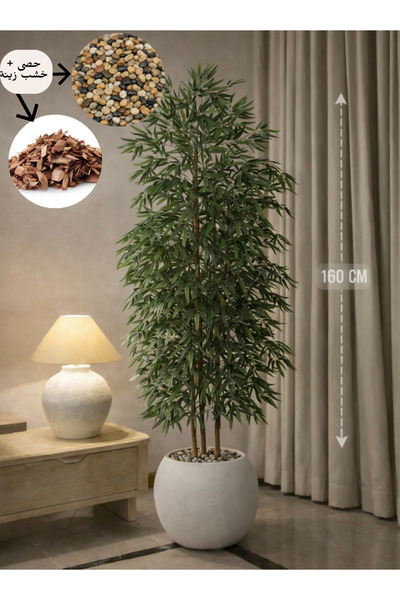 CENTRHOME شجرة البامبو بطول 160 بمركن مكور