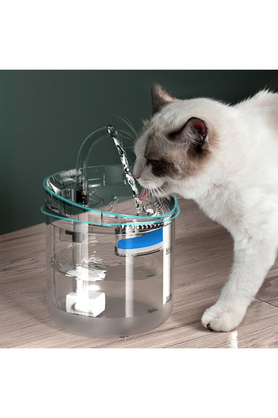 Arabest موزع مياه شفاف أوتوماتيكي، مع فلتر واحد قابل للاستبدال، مناسب للقطط ا...