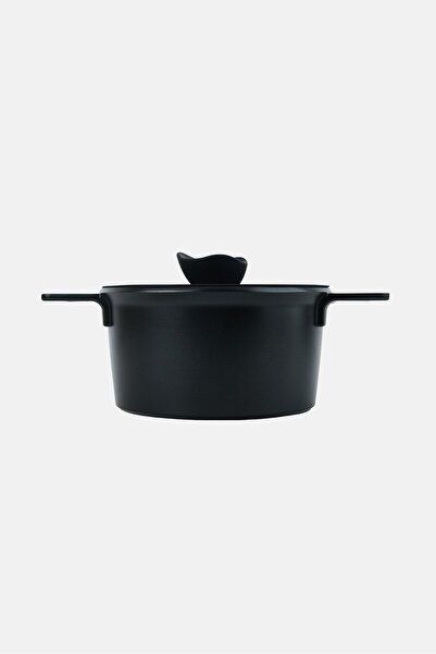 BEBEHOME Cast Aluminum Casserole, Black