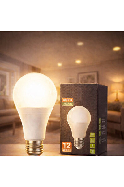 kialed Ampul 4000K Ilık Beyaz – Doğal & Dengeli Işık