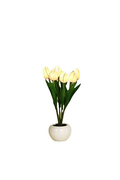 Arabest Six Branches Tulips LED Night Light, for Birthday Holiday Party Weddi...