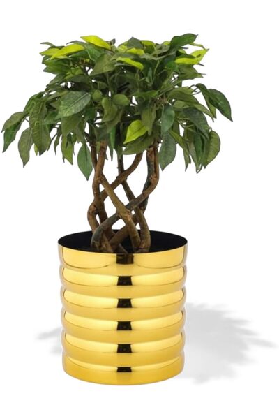 Generic Premium Golden Ribbed Metal Planter – Polished Mild Steel Decorative ...