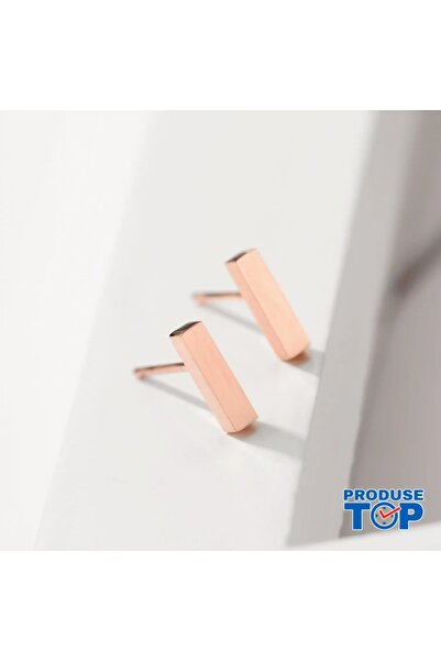 Produse.Top Fashion Earrings Made of Stainless Steel Plated with 14K Rose Gol...