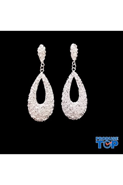 Produse.Top Elegant Silver Earrings Drop Model CW90
