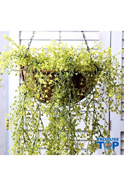 Produse.Top Ghiveci suspendat cu fibră de cocos 46x20 cm GVC01