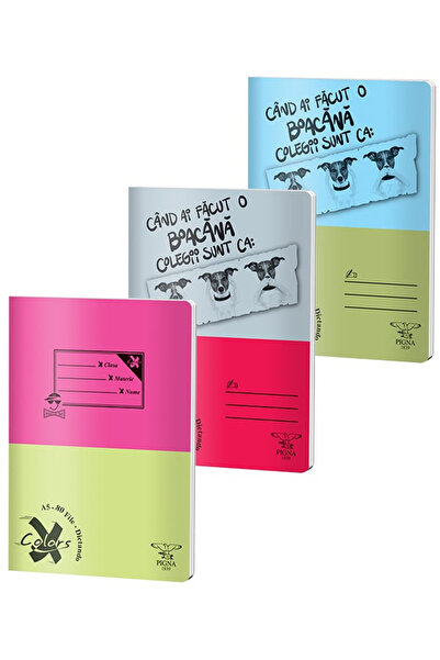 PIGNA A5 Notebook 80 Sheets Mathematics Basic Cover