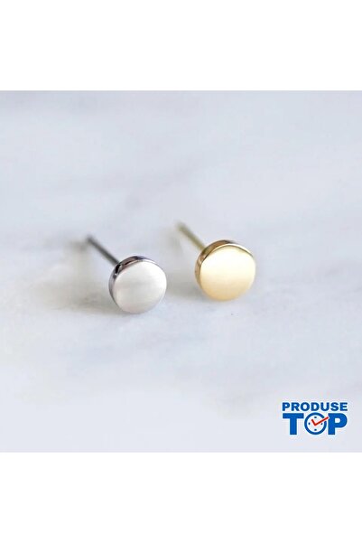 Produse.Top Fashion Earrings Made of Silver Stainless Steel Round Shape CW83