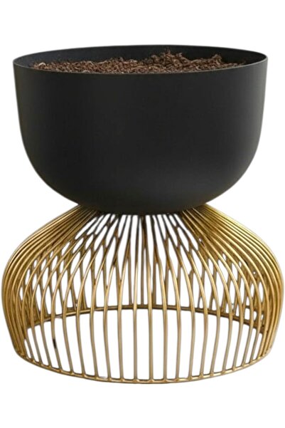 Generic Metal Plant Stand with Pot – Gold & Black Mild Steel Indoor Planter