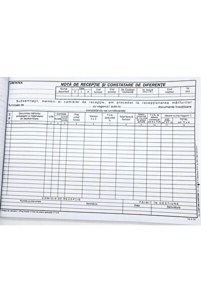 DanyCris NIR - Nota de receptie si constatare de diferente autocopiativ, A4