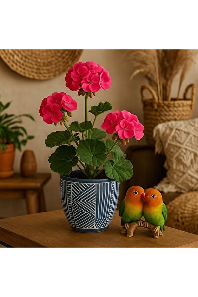 Ruum Store By Doğtaş Lacivert Geometrik Desenli Seramik Saksı