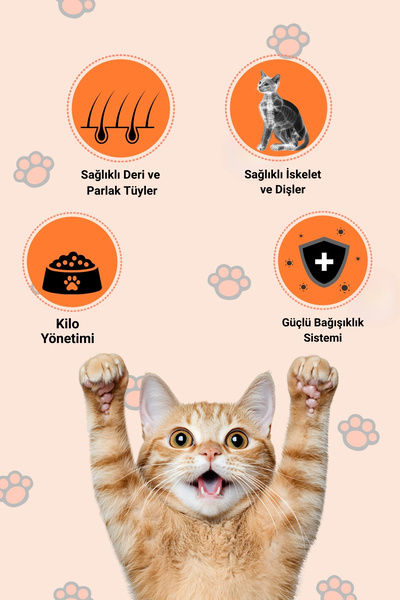 Happy Tavuklu Kuru Kedi Maması 1,5 Kg