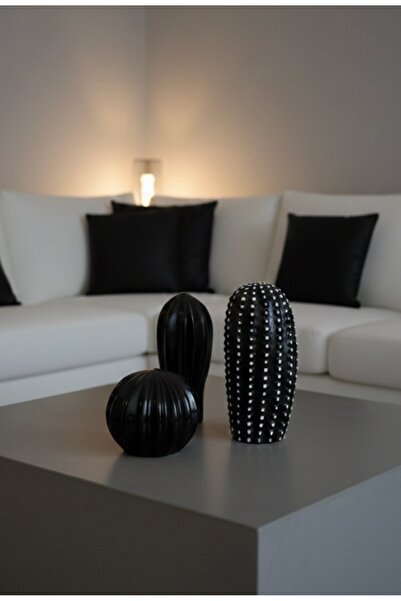 Lumira Home 3’lü Siyah Kaktüs Seti