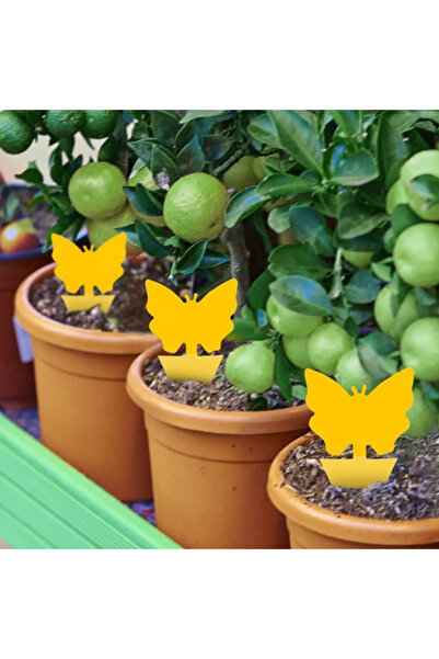 zola Σετ κολλητικών παγίδων εντόμων, Zola®, κίτρινες πεταλούδες, 12 τεμάχια