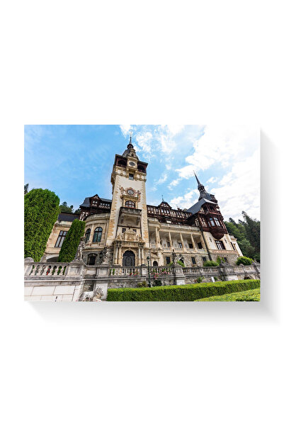 Printees Tablou - Castel Peleș - Canvas pe șasiu