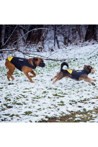 Julius K9 Vestă din neopren Julius K 9 - Galbenă