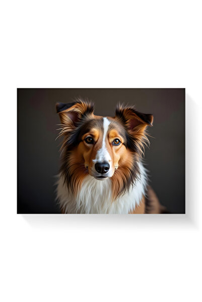 Printees Tablou - Collie - Canvas pe șasiu