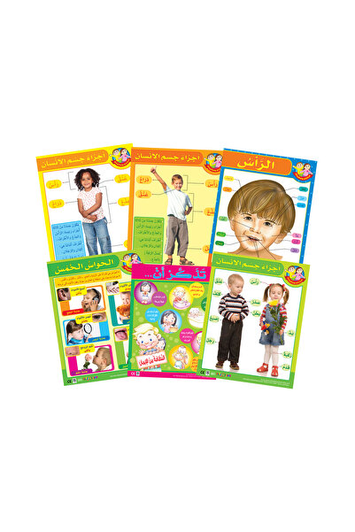 123Publishing House My Body & My 5 Senses (6 Wall Charts) - Educational Wall ...