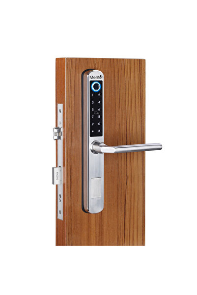 Mentor Yala Inteligenta SY018 WiFi 5in1 cu broasca pentru usi din PVC, lemn, metal