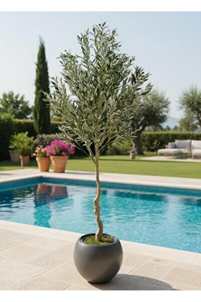 Nettenevime Yapay Zeytin Ağacı Antrasit Renk Küre Saksıda 190cm Doğal Görünüm...