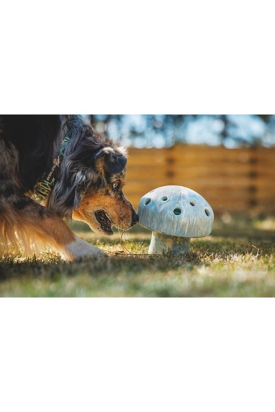 Ruffwear Porcini Toy - Gray Sky