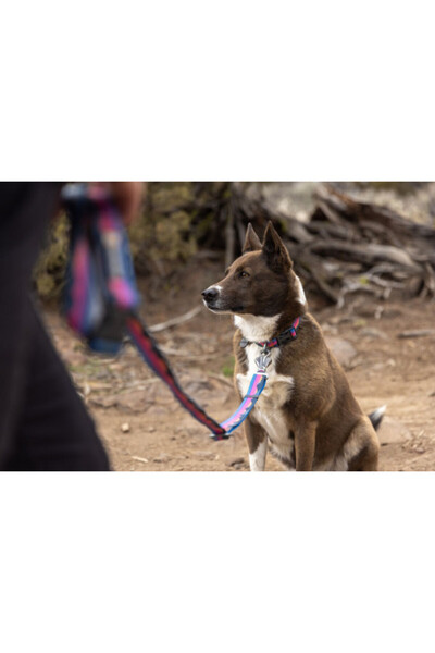 Ruffwear Lesă Crag Ex - 1,8 m - Alpine Dusk