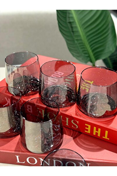 ROY KING Royking Mountain 6'lı Su Bardağı Füme YV-215