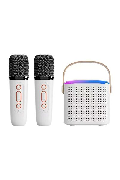 TOY LAND Bluetooth Karaoke Speaker with 2 Wireless Microphones