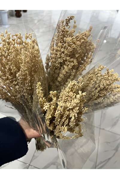 Ziva DEKOR Beyaz Şoklanmış Lavanta 50 gram