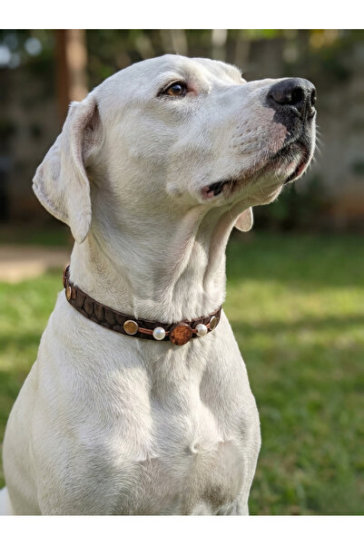 balkonda Dog Collar Adjustable 1.5 cm Wide Leather Small, Medium and Large Br...