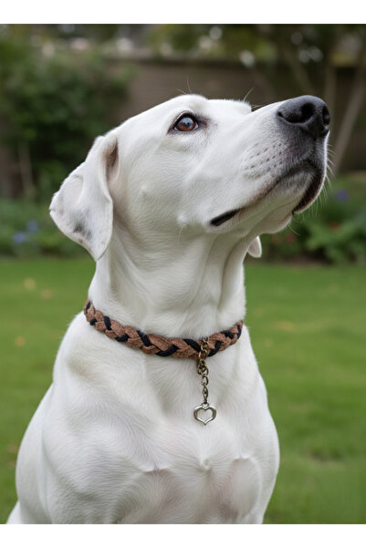 balkonda Dog Collar Single Size 1.5 cm Width Leather Medium and Large Breed