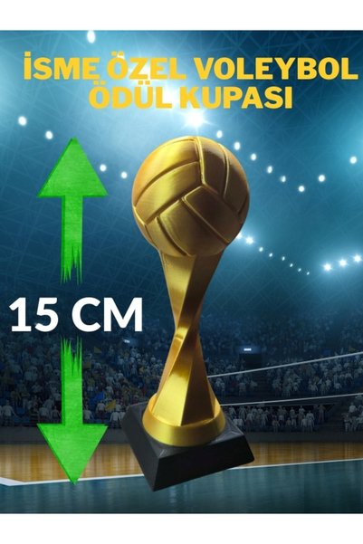 FLEXIS WE MAKE IT POSSIBLE FOR YOU Premium Gold Voleybol Başarı Kupası ve Mod...