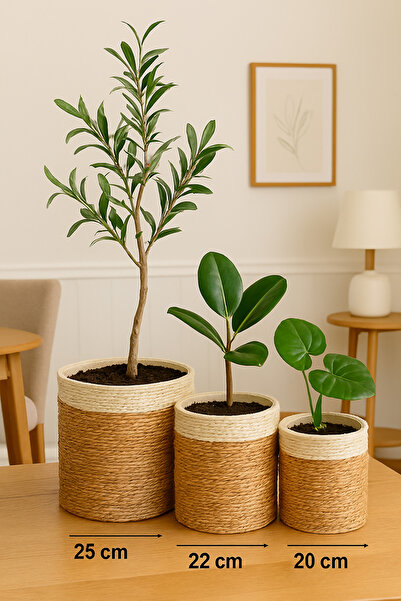 DECHAUS Üçlü Set Doğal Hasır Beyaz Ağızlı Silindir Saksılık