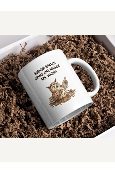 Fikart "Burnum Boktan Çıkmaz Ama Akıl Veririm" Yazılı Baykuş Kupa