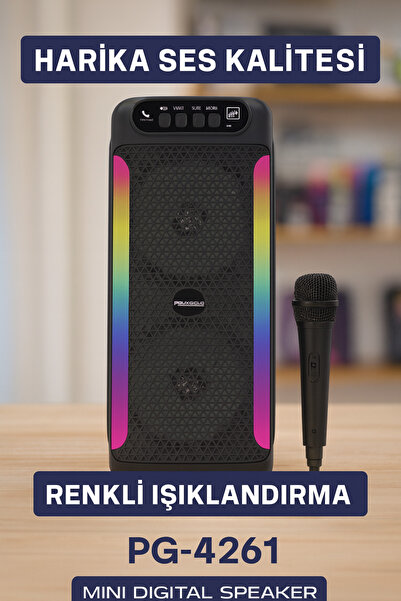 Lisinya Yüksek Ses Güçlü Kablosuz Hoparlör Karaoke Mikrofonlu -