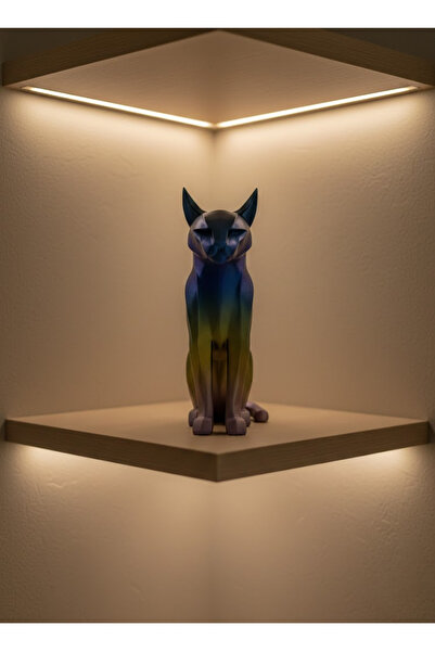 doremodam قطة قوس قزح الداكنة - ليسينيا