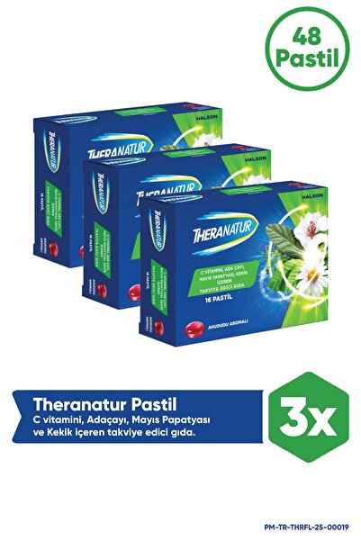 theranatur Pastil Ahududu Aromalı 16'lı 3 Adet