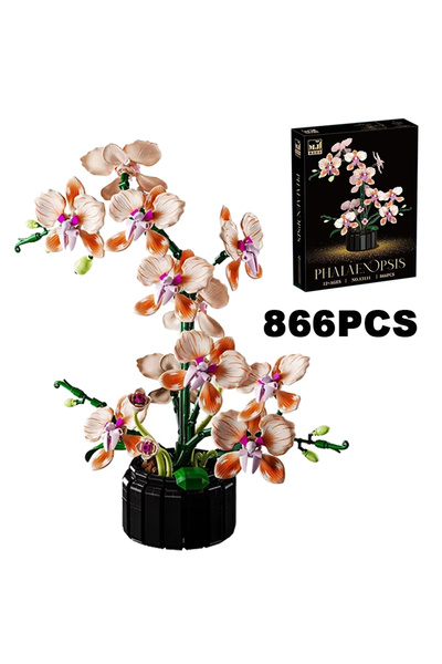 choice2 باقة زهور أوركيد إبداعية مع صندوق، مزروعة في أصيص، مكعبات بناء، زهرة ...